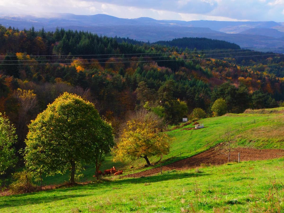 Le Vallon d'Armandine, gîte écologique Auvergne Saint-Hilaire  Extérieur photo