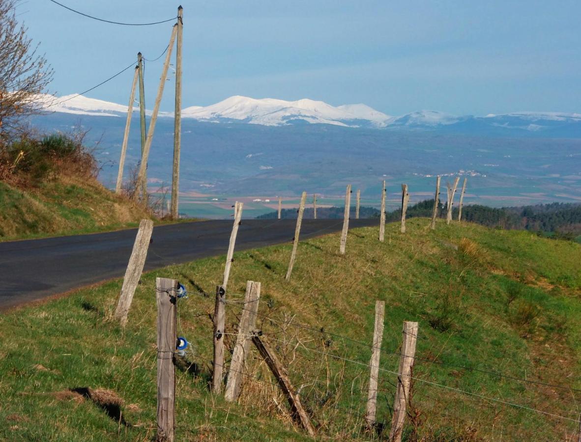 Le Vallon d'Armandine, gîte écologique Auvergne Saint-Hilaire  Extérieur photo