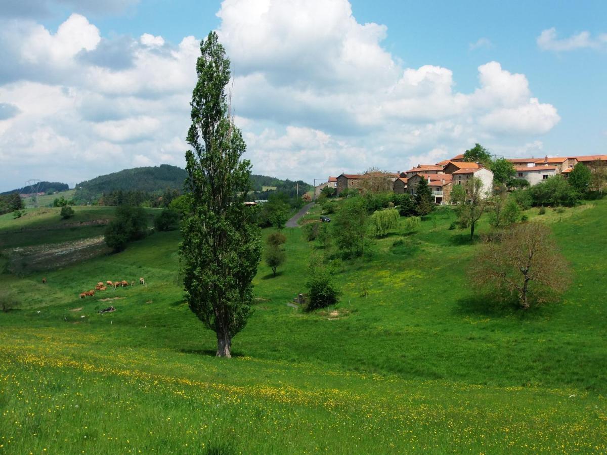 Le Vallon d'Armandine, gîte écologique Auvergne Saint-Hilaire  Extérieur photo