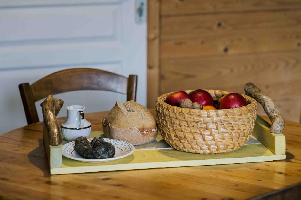 Le Vallon d'Armandine, gîte écologique Auvergne Saint-Hilaire  Extérieur photo